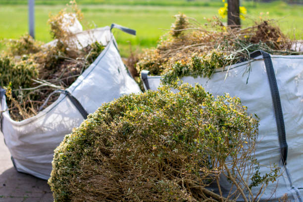 Best Yard Cleanup Services  in Mint Hill, NC